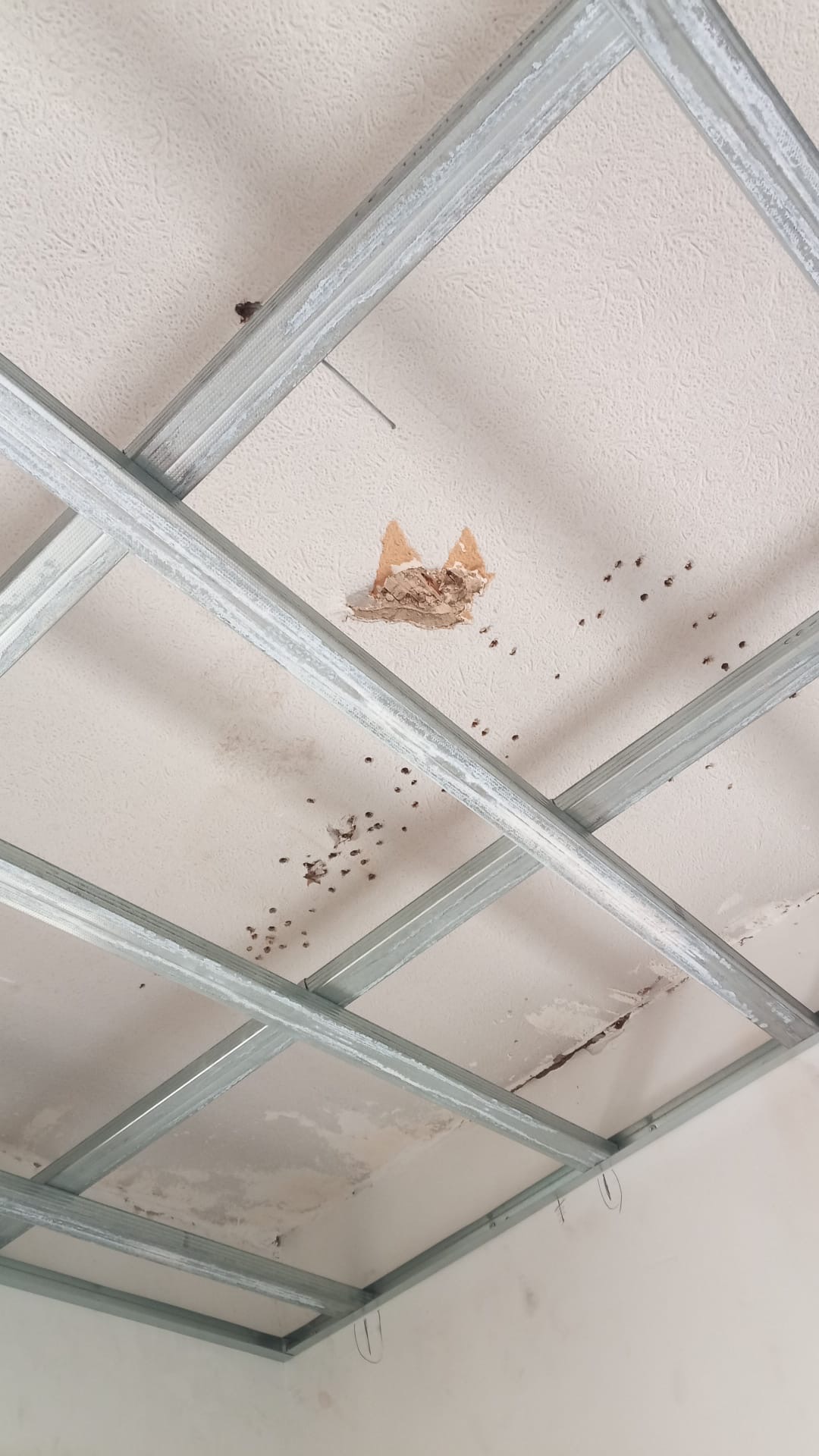 Travaux réalisés